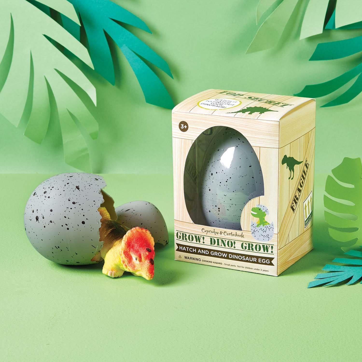Mystery Hatch & Grow Dino Egg
