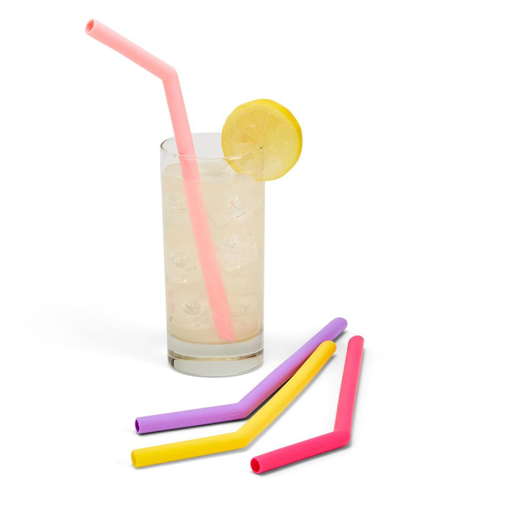 Set of Four Reusable Straws with Brush Cleaner