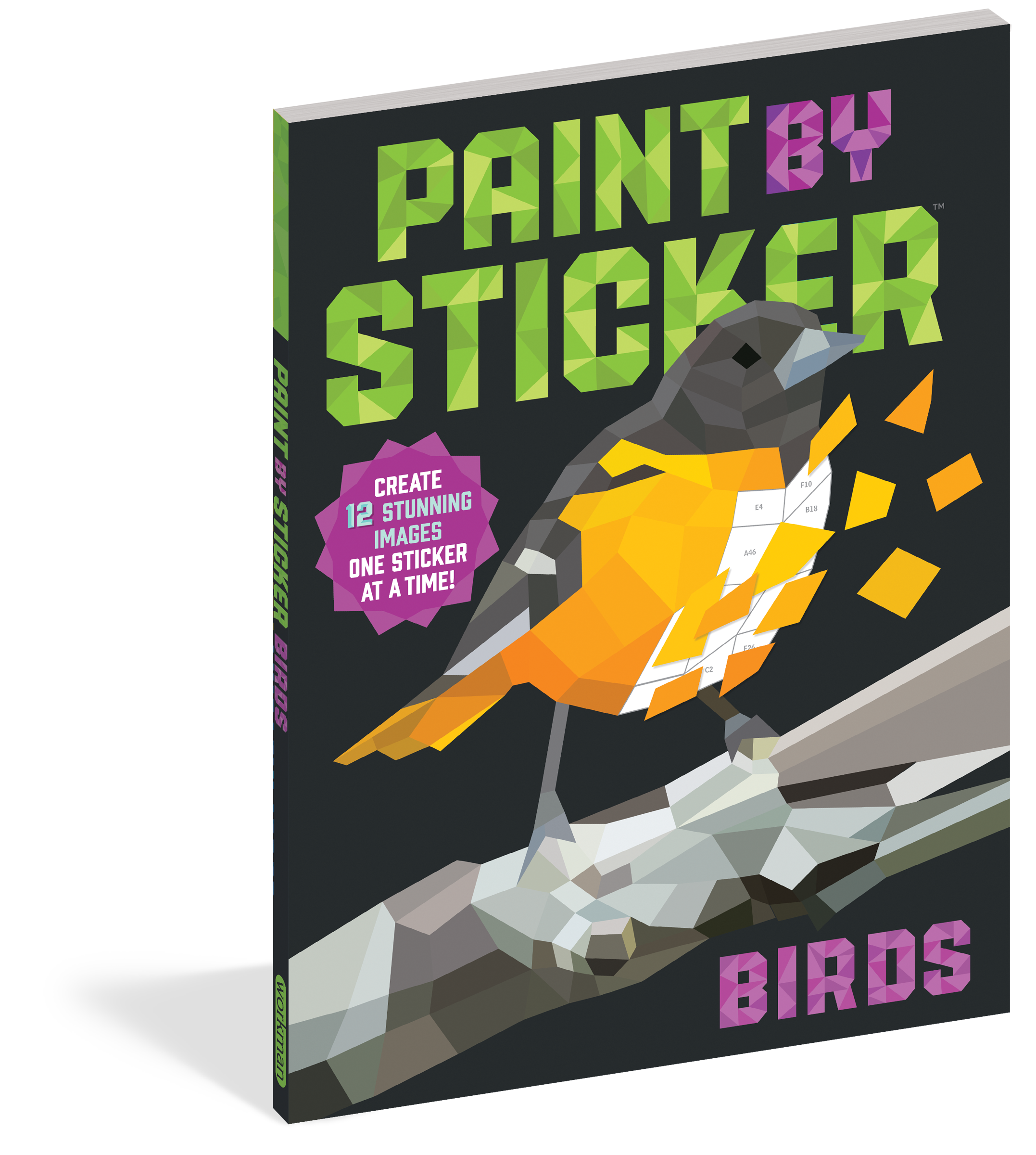Paint By Sticker: Birds