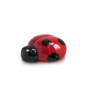 Lil' Ladybug Mini