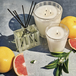Grapefruit Classic Candle