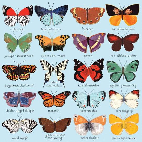 Butterflies of North America 500 Jigsaw Piece Puzzle