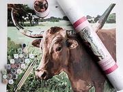 Lucy Longhorn Paint By Number Kit